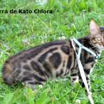 Ирина, фото