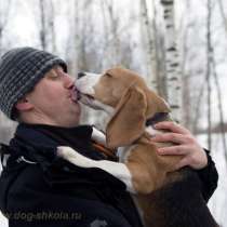 Профессиональная дрессировка собак, в Москве