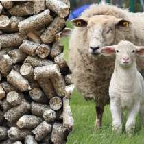 Комбикорм для Мелкого рогатого скота (овец, баранов), в г.Костанай