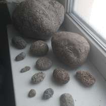 Морские камни, в Пушкино
