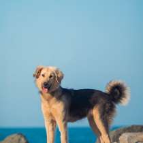 Малышка с чудесным характером ищет семью, в Москве