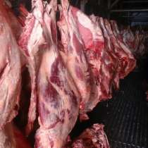 Мясо-говядина порода СИММЕНТАЛЬСКАЯ в полутушах, в Сургуте