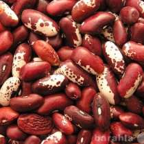 фасоль, в Краснодаре