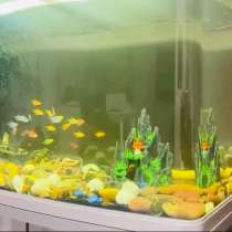 Аквариум 250л, в Владивостоке