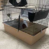 Клетка для грызунов, в Минеральных Водах