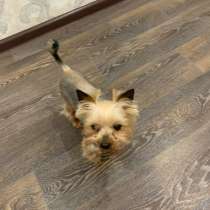 Вязка, в Яхроме