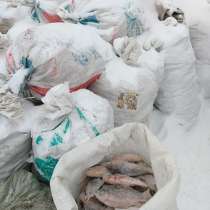 Кормовая рыба, в Тюмени