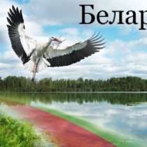 Тур в Беларусь с ночлегом в замке Мир 2 дня, в Москве