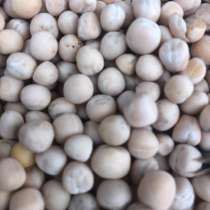 Горох семенной, в Ставрополе