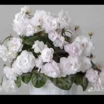 Цветы, в Иркутске