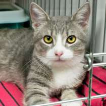 Обворожительный Ясмин мечтает о домашнем тепле и уюте, в Москве