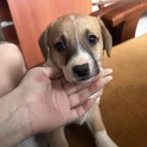 Ищу семью, в г.Донецк