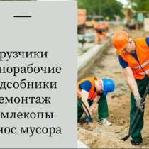 Услуги разнорабочих/ земляные работы / грузчики, в Твери