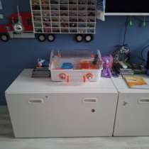 Джунгарский хомяк с красивым боксом, в Санкт-Петербурге