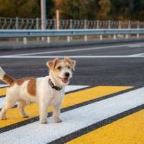 Юрист по страховым автоспорам, в Самаре