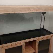 Аквариум, в Санкт-Петербурге