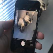 Продам айфон 5s 16 gb купленый в официальном магазине, в Москве