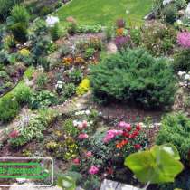 Ландшафтное проектирование, строительство садов., в Санкт-Петербурге