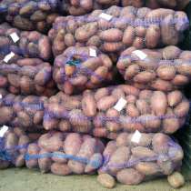 Картофель оптом от фермерского хозяйства, в Саратове