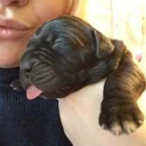 Открыта бронь, в Санкт-Петербурге