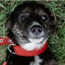 ЛУНЕ ОЧЕНЬ НУЖНА СЕМЬЯ, в г.Минск