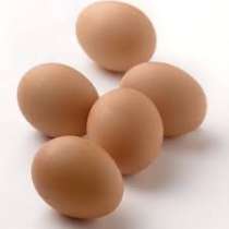 Продам яйцо куриное 1 кат. от 3 руб. крупным оптом, в Томске
