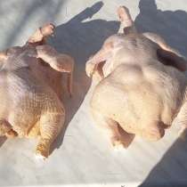 Тушка домашней курицы, в Самаре