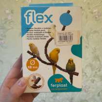 Для попугаев, в Калининграде