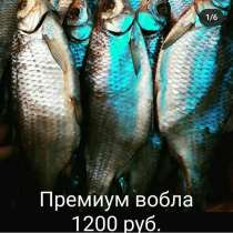 Астраханская рыба, в Астрахани