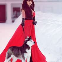 Щеночки сибирской хаски. самые лучшие малыши, в Санкт-Петербурге