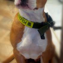 Стафф, в Владивостоке