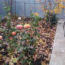 Продается дом, в Ростове-на-Дону