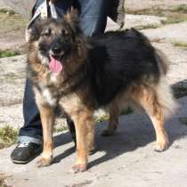 Ласковая Люся очень ждет тебя- родной человек!, в Москве