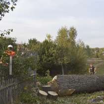 Валка и удаление деревьев любой сложности, в Белгороде