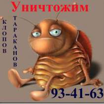 Уничтожение клопов тараканов в Томске, в Томске