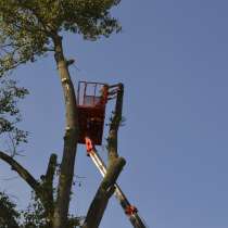 Удаление опасно стоящих деревьев, в Белгороде