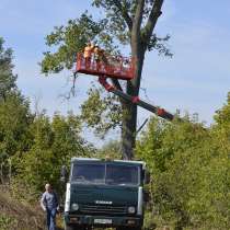 Удаление деревьев , в Белгороде