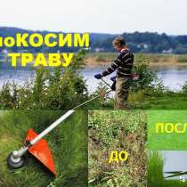 Покос травы бензотриммером, в Белгороде