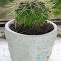 Удаление запахов СПб. Обработка сухим туманом., в Санкт-Петербурге