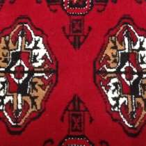 Ахал, в Москве