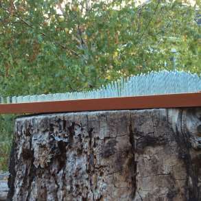 Анатомическая доска Садху, в г.Кишинёв