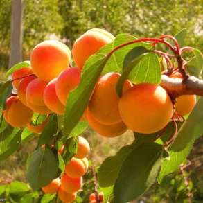 Продаётся земельный участок, в Москве