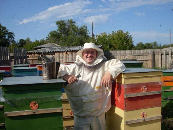Мёд пчелиный Местный для жителей Кургана и пригорода 1,3кг в Кургане фото 10