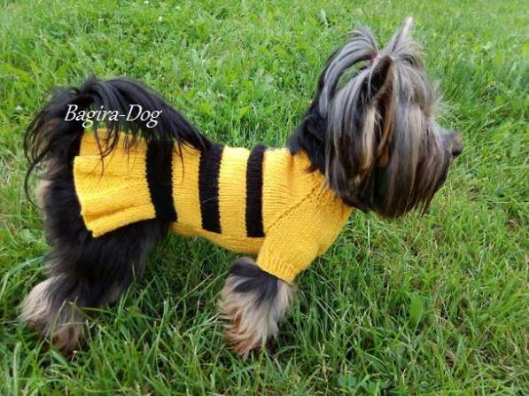 Вязаная одежда для собак в Москве фото 20
