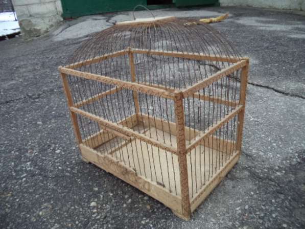 Клетка в фото 3