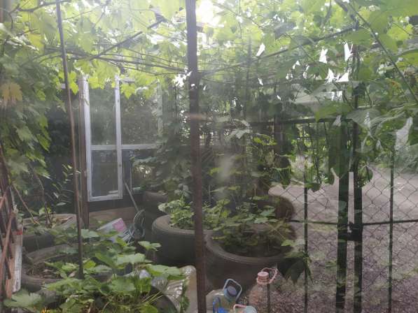 Ровный участок на 7км СТ Горнодолинный в Севастополе фото 6