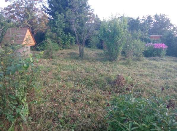 Расчистка участка. Покос травы в Солнечногорске фото 3