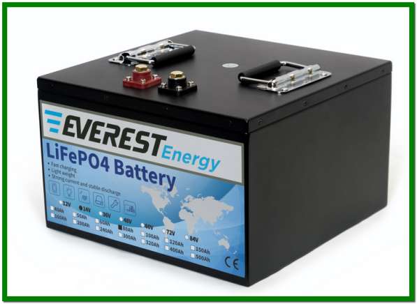 Тяговые литиевые аккумуляторы Everest Energy LFP-24V80А в Санкт-Петербурге