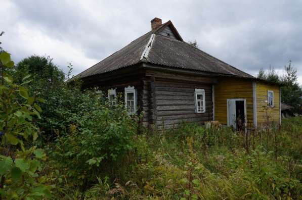 Бревенчатый дом в тихой деревне, недалеко от речки в Ярославле фото 11