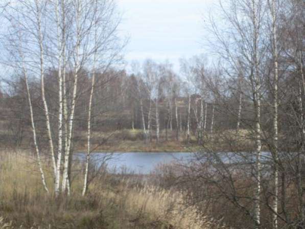 Продается земельный участок 8 соток в СНТ«Уваровка» в Можайском районе, 130 км от МКАД по Минскому шоссе в Можайске фото 3